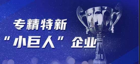 2021年度省專精特新小巨人企業(yè)