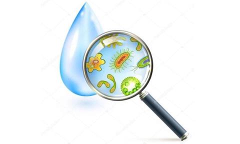 隔離病毒別忘了飲水防護(hù)，居家抗疫飲水指南收藏！